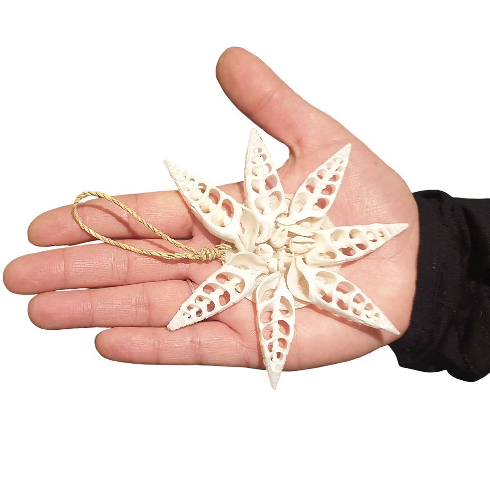 Handmade Seashell Hanging Ornament: #02