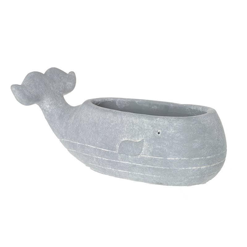 Sm Cement Whale Pot