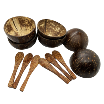 Mini Coconut Bowls and Spoons, Set of 6