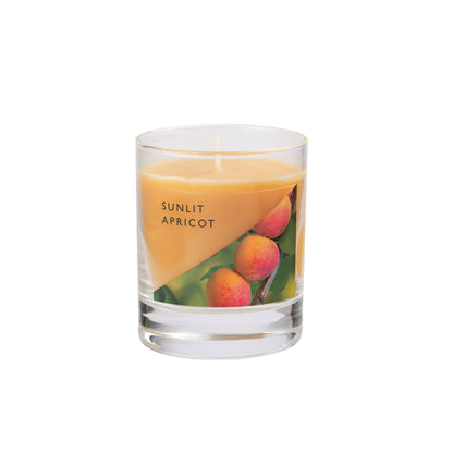 Wax Lyrical Small Candle Jar: Fresh Eucalyptus