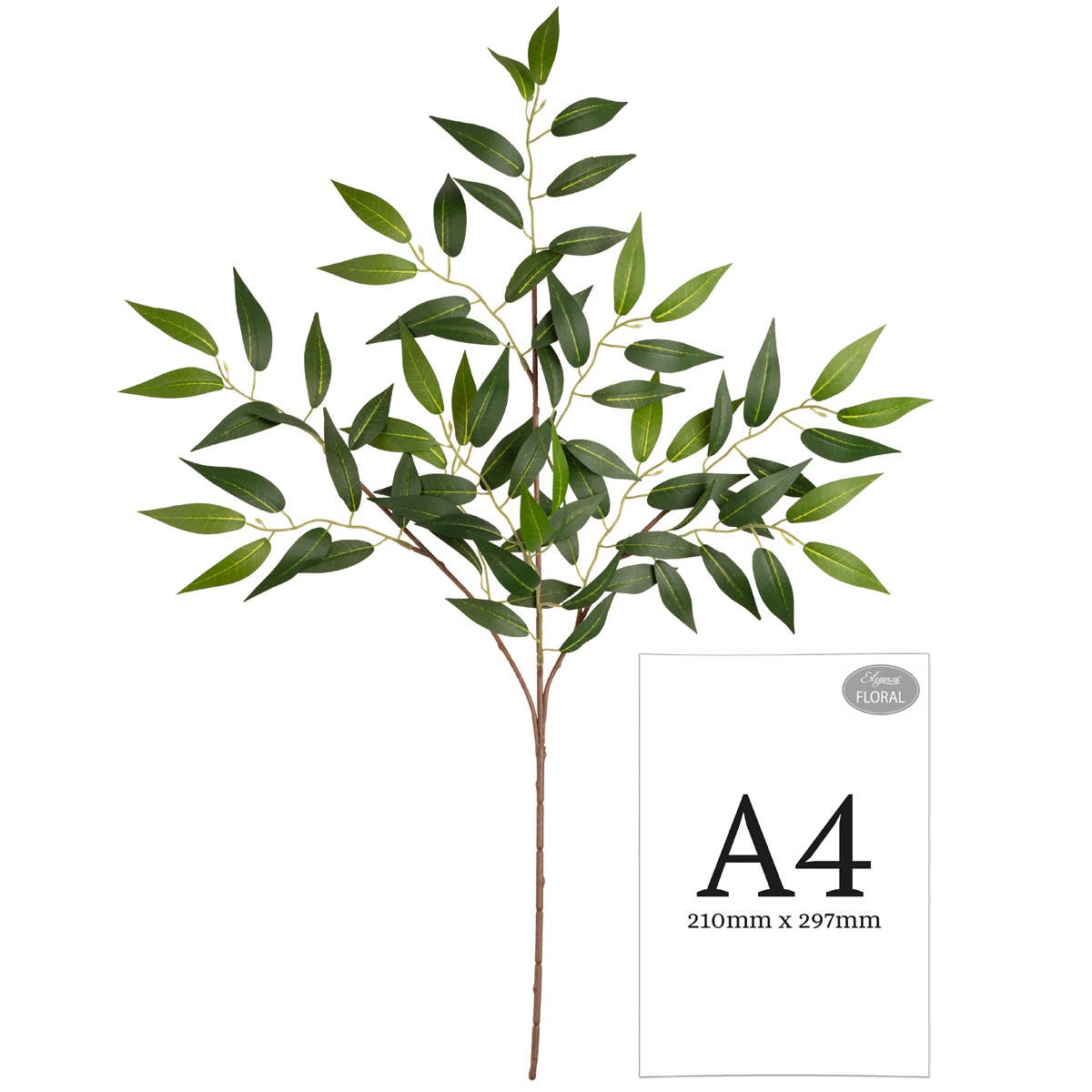 Ruscus Spray
